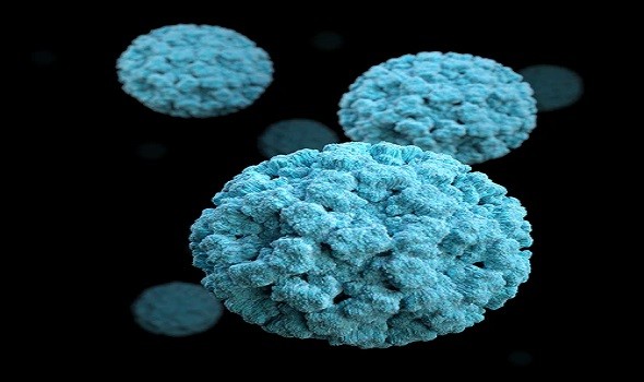 لايف ستايلاليابان تُسجّل أول حالة وفاة في العالم بفيروس "أوز"