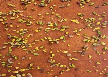 لايف ستايلالبسبوسة باللوز وجوز الهند