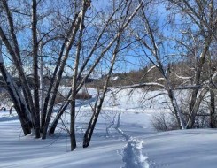 لايف ستايلتأثير الطقس البارد على صحة الجسم وأبرز المشكلات المرتبطة به