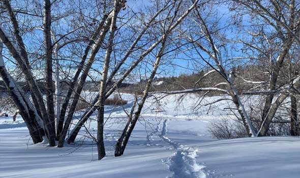 لايف ستايلتأثير الطقس البارد على صحة الجسم وأبرز المشكلات المرتبطة به