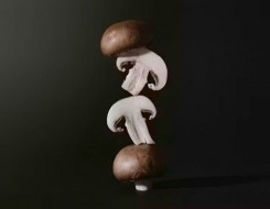 لايف ستايل8 فوائد صحية للمشروم لتعزيز المناعة وصحة القلب